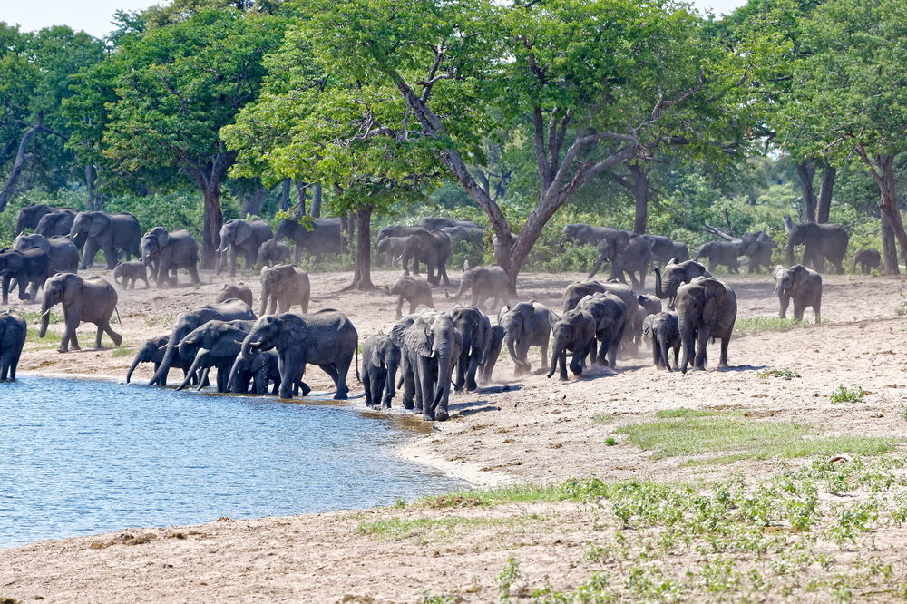 Nambwa Tented Lodge Kongola 外观 照片