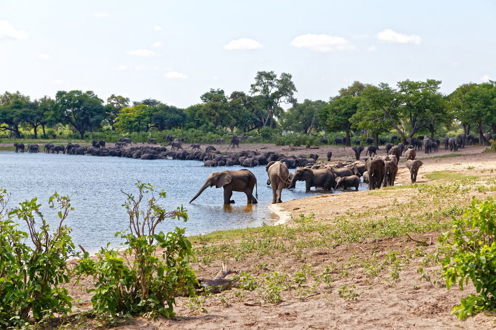 Nambwa Tented Lodge Kongola 外观 照片