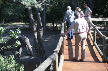 Nambwa Tented Lodge Kongola 外观 照片